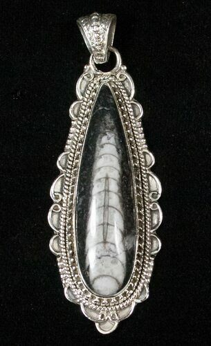 Fossil Orthoceras Pendant - Sterling Silver #16725